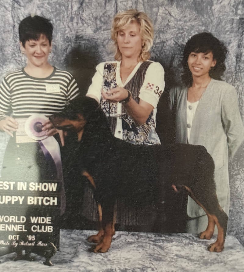 Best of Show