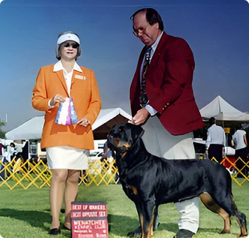 Dog Show