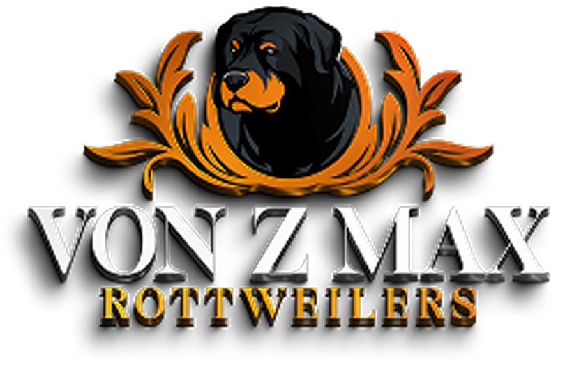 Von Z-Max Logo
