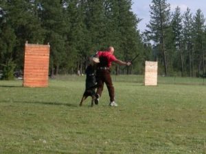 Imgi 6 Maik 05 f 300x225