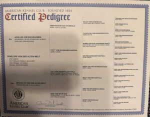 Pedigree