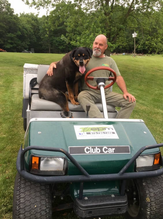 Golfcart Rottweiler